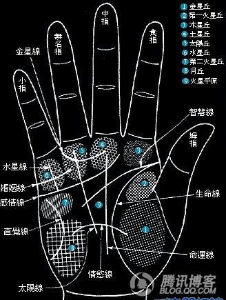 手部诊断 [转] 你的手上有几个斗?看婚姻很准的