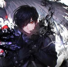 【华丽风】动漫 黑色系列 羽毛