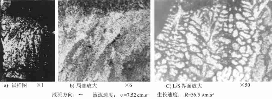 al_4_5cu合金柱状晶的穗状晶生长形态及机理
