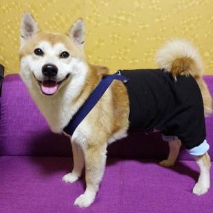 宠物棉裤狗狗裤子柴犬金毛哈士奇拉布拉多阿拉斯加小型中大型裤子