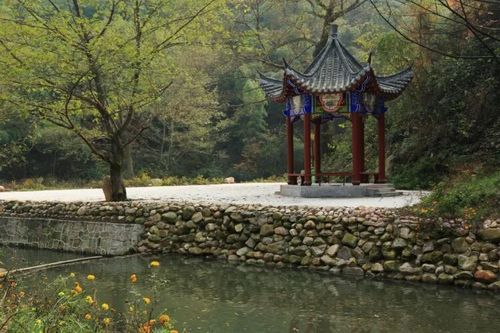 浉河区:五曲峡森林公园,你的天然绿色氧吧! - 信阳讯