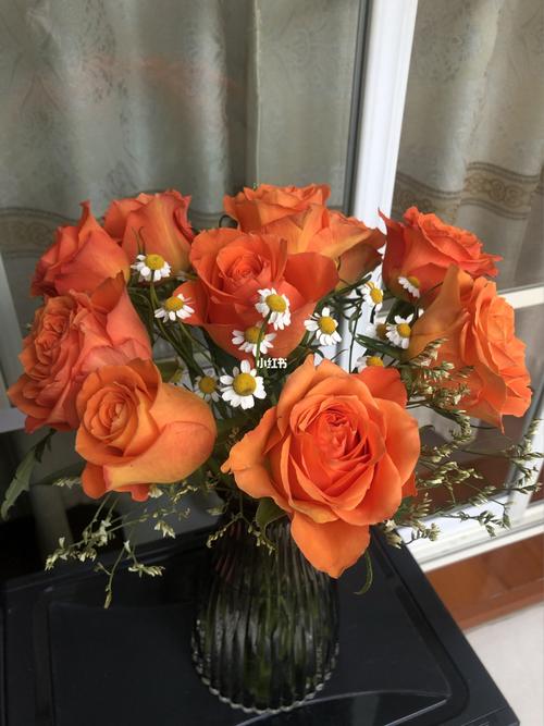 国王日玫瑰_网购鲜花_家居家装_家居装饰