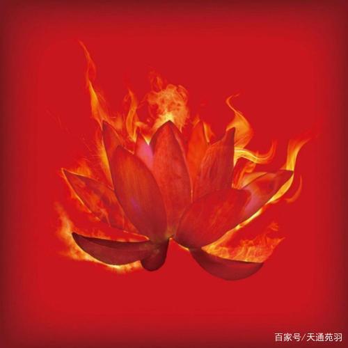 洪荒至宝混沌青莲破碎化成了哪些灵宝?网友:太厉害了