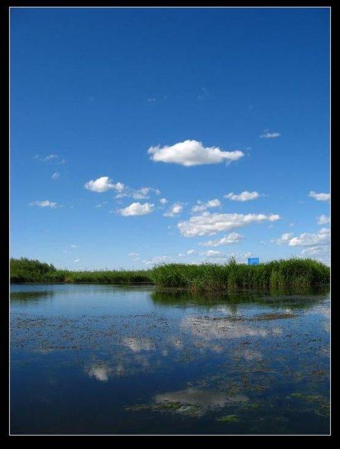 闲云犹在,野鹤难寻