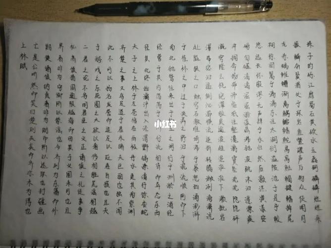 《上林赋》_书法_文化_阅读