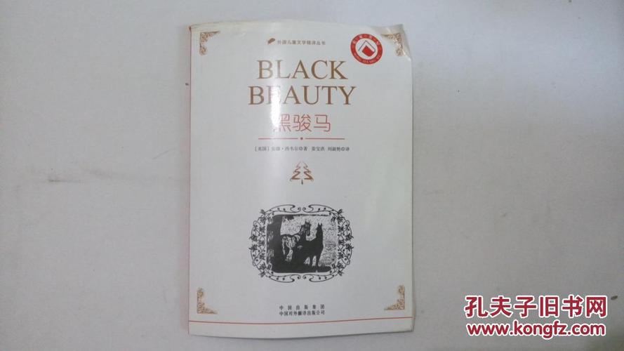 黑骏马