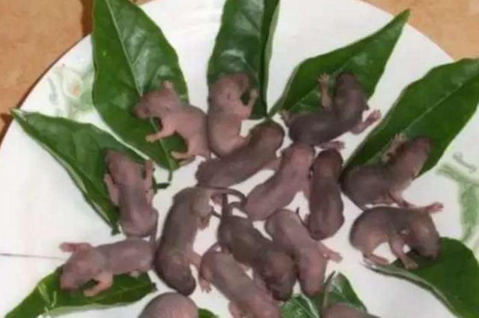 盘点国内挑战心理极限的美食,老鼠三吱声 牛粪火锅,不