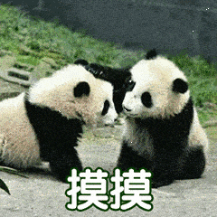 30个摸头杀表情包丨没事摸下头 万事不用愁!