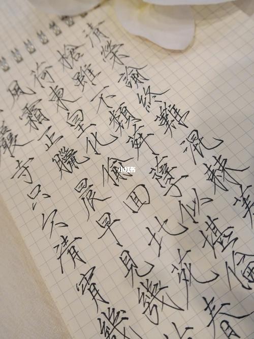 硬笔瘦金体_练字_兴趣爱好_书法