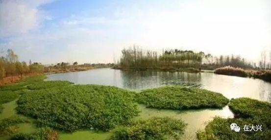 大兴长子营:登上全国榜了!