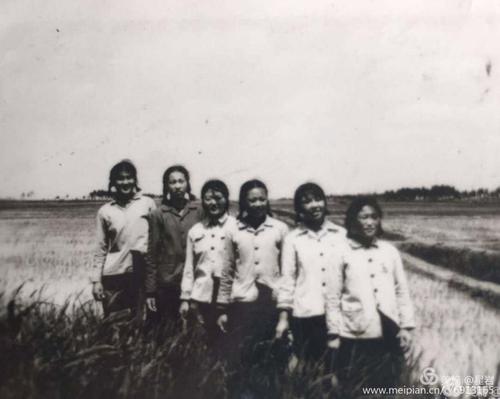 我们的青春3 ---唐山柏各庄农场知青风采