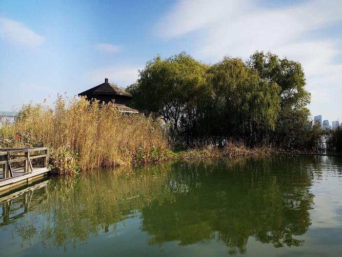 初冬的渤公岛(一)