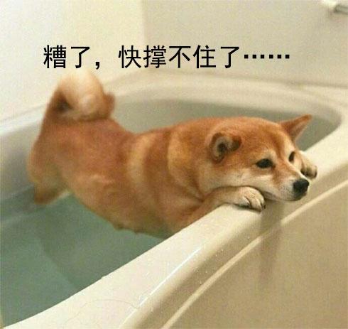 糟了,快撑不住了 - 哈哈哈戏精_戏精_萌萌哒表情