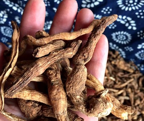 【品名】崂山玉竹茶   【别名】萎蕤,铃铛菜,竹根七,玉竹参 【重量】
