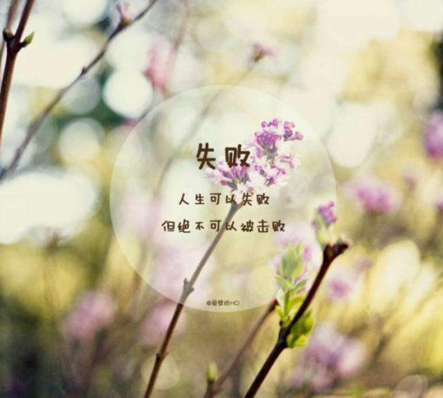 女人与狗配人生的感悟带字,怎样祛除色斑,图片