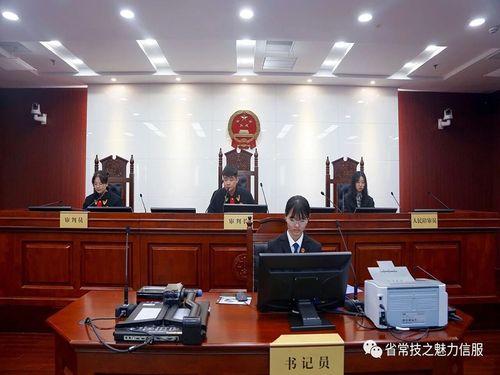 信息服务学院参加模拟法庭新闻稿照片1.jpg