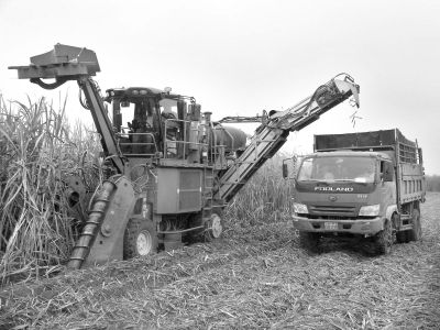在现场,记者看到收割机收到地头,机身下部的铰链盘转了起来,机器扭