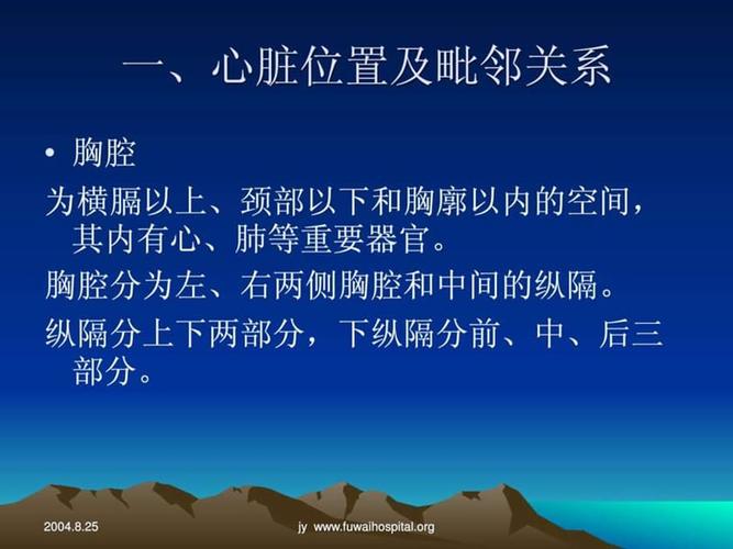 心脏正常解剖ppt课件