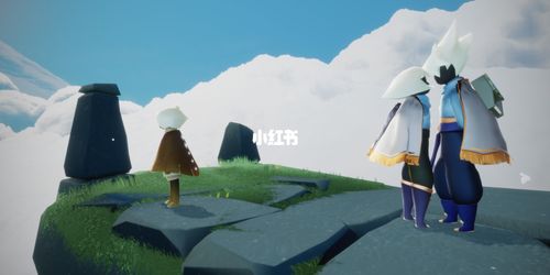 这就是萌新的待遇吗?_光遇_帅哥_sky光遇_游戏_手机