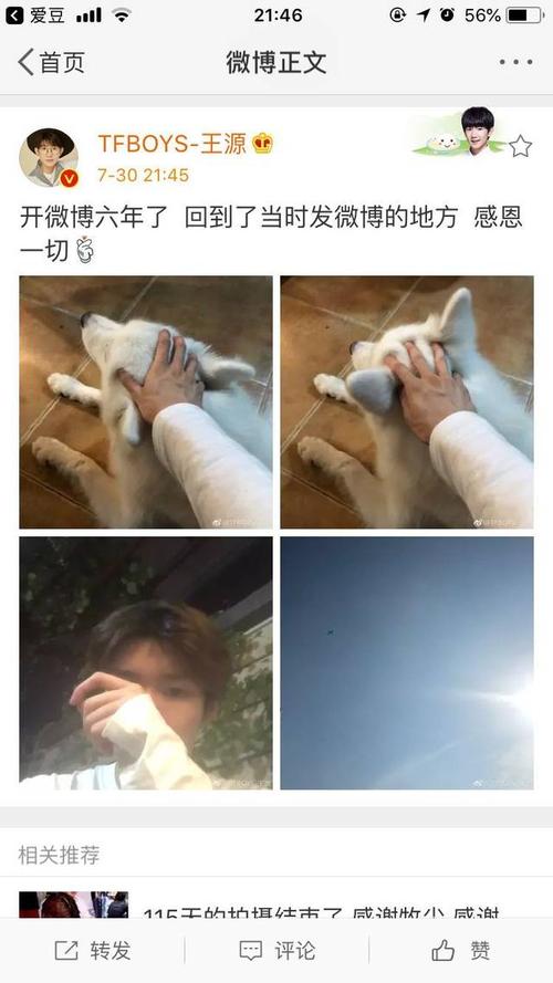 王源深夜更博感谢大家 带宠物和自拍让人很知足
