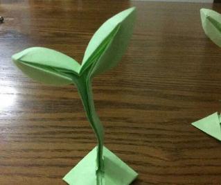 幼儿小嫩芽折纸