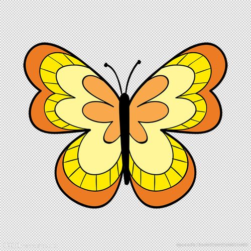 卡通蝴蝶图片