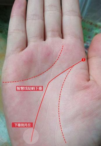 手相智慧线陡峭下垂, 在艺术方面都极有天赋!