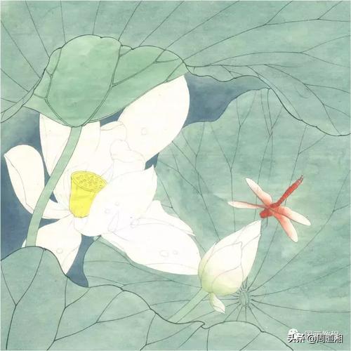 国画教程荷花蜻蜓绘制详细步骤解析