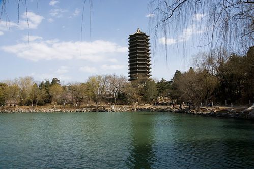 北京大学(peking university)