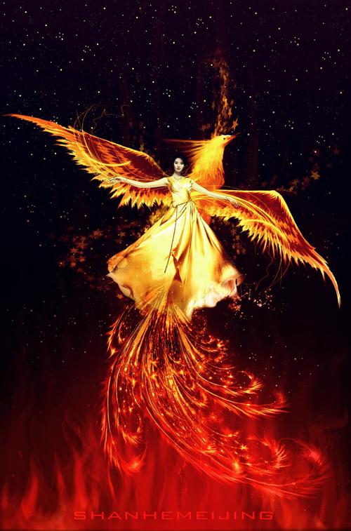 凤凰涅盘 ╮(╯▽╰)╭ - 堆糖,美图壁纸兴趣社区