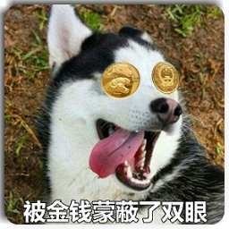 二哈被金钱蒙蔽了双眼表情包
