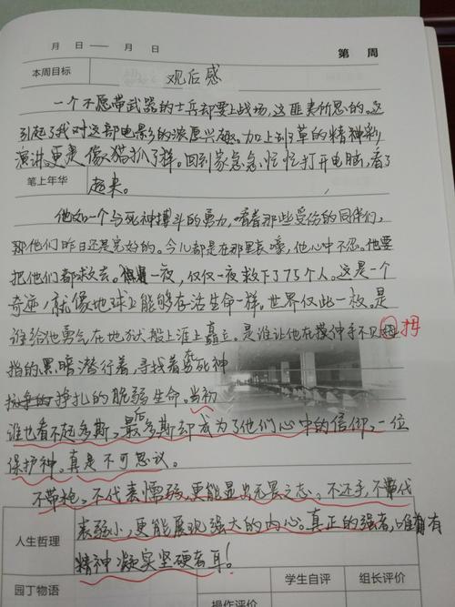 血战钢锯岭观后感