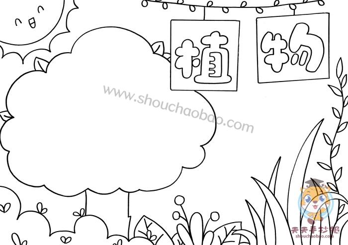 植物手抄报简单又漂亮模板教程关于植物的手抄报内容写什么