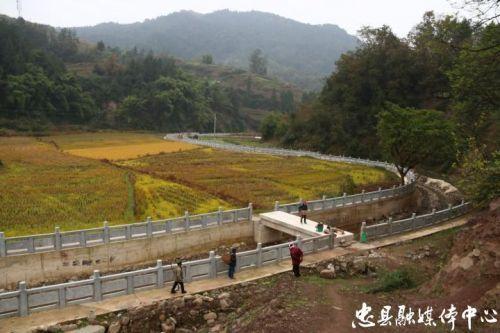 善广乡上坪村河道综合治理项目全面竣工-社会-忠县