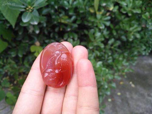 珍品*终身保真*南红玛瑙柿子红荔枝冻~荷塘23.5g吊坠*