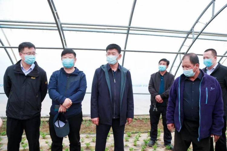 利通区委主要领导调研移民村产业发展及重点项目建设情况_陈宏_金积镇