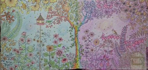 秘密花园 刚画完第一页