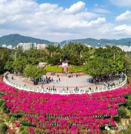 是游人登山锻炼的必经之路 西北部及北部也建有三条林荫登山道 莲花