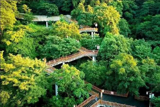 福建龙岩有一座形如莲花的天马山闽西第一大寺莲山寺