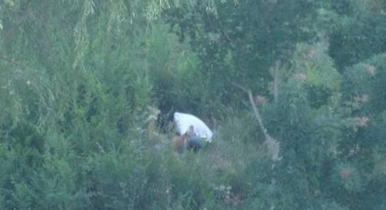 新疆大学情侣丛林野战啊,学生逆天