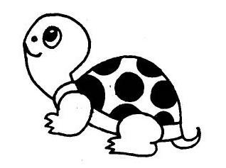 乌龟简笔画作品