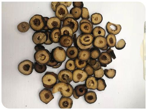 批发中药材枳实 浙江枳实片 各种规格大量批发量大价优