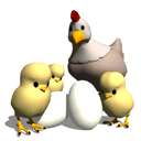 鸡生蛋,蛋生鸡? - 夕儿的日志 - 网易博客