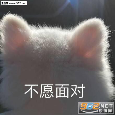 不愿面对表情包图片
