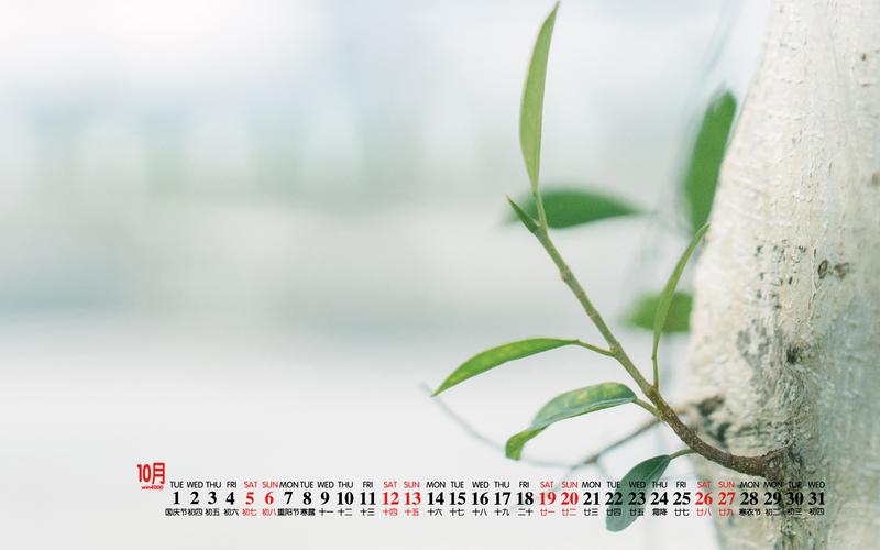 2019年10月绿色小清新桌面日历壁纸