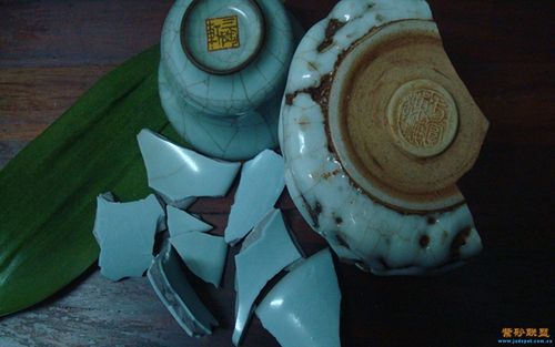 壶和杯碎了一地啊 天天泡茶防手抖啊 最后没防住家里的狗啊