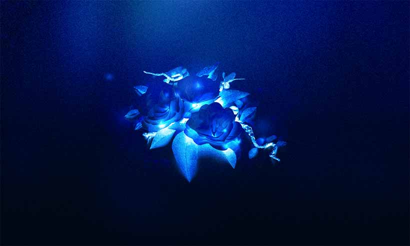 8款梦幻蓝色花朵背景图片素材(blue textures)