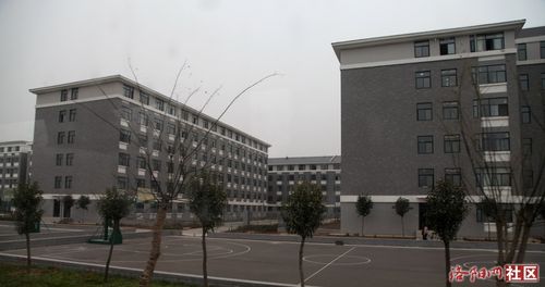 网友看伊滨之——已经投入使用的洛阳师范学院新校区