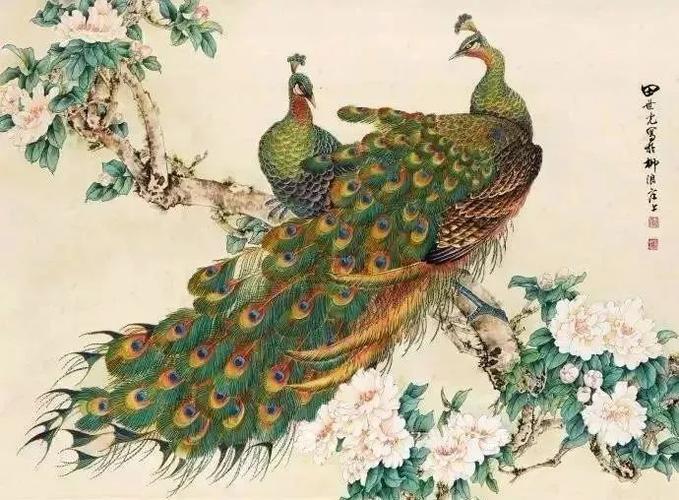 田世光 笔下的孔雀,漂亮至极,殊为难得