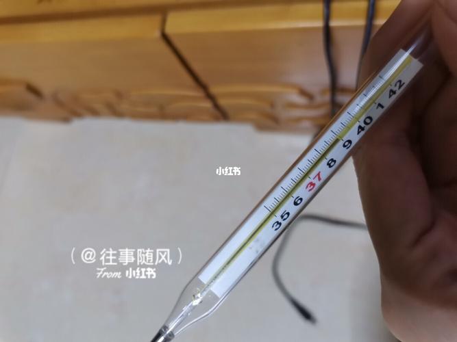 病一场,才知逢场作戏_发烧_体温计_手镯_纯银_文案_荨